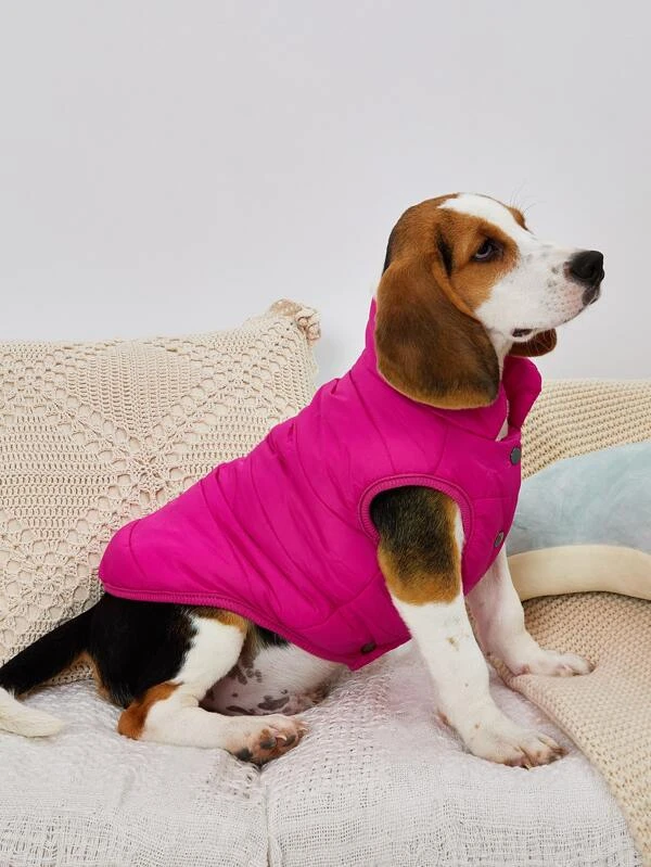 แจ็คเก็ต ลายสี สัตว์เลี้ยง ม-39