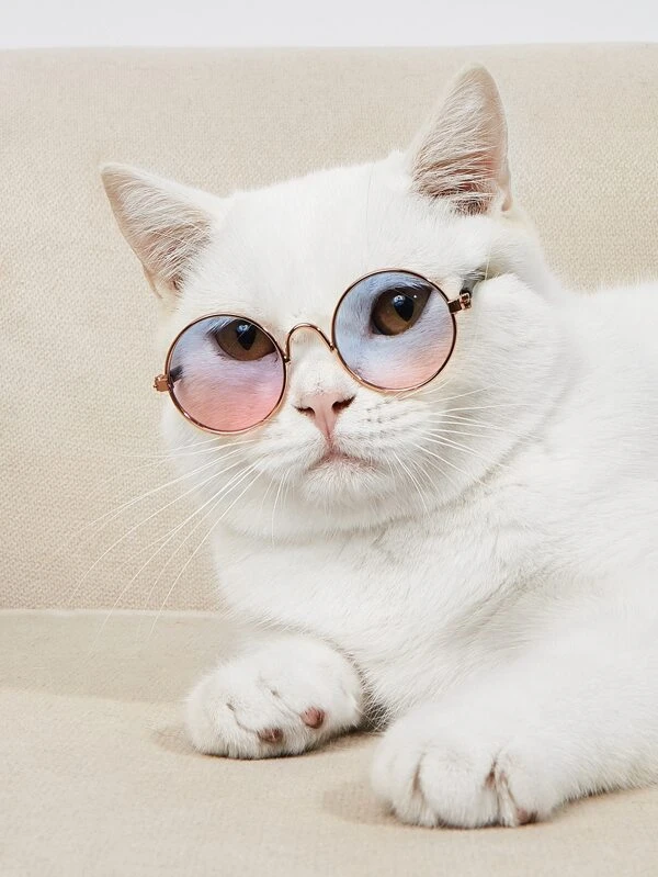 1 อัน แว่นตา สัตว์เลี้ยง เลนส์กลม  ม-031