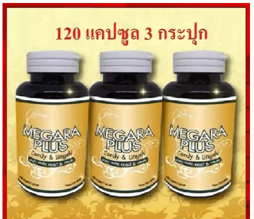 ส053 ถั่งเช่า ถั่งเช่าสกัดแท้100% ถั่งเช่าเมการ่าพลัส ถั่งเช่าสีทอง ถั่งเช่าเห็ดหลินจือ ถั่งเฉ้า เห็ดถั่งเช่าสีทอง 120 แคปซูล 3 กระปุก Megara Plus Cordy & Lingzhi 120 capsules 3 bottles