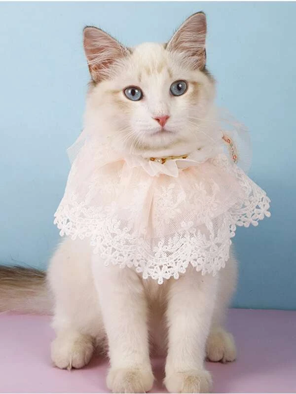 ปลอกคอลายแมวประดับมุกเทียม ม-97