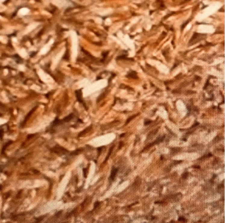 WA23-ข้าวสังข์หยด